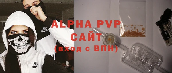 сатива Балахна
