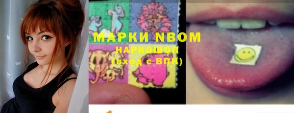 сатива Балахна