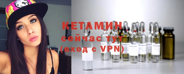 сатива Балахна