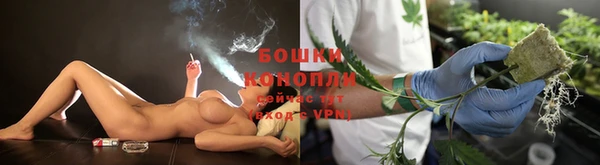 сатива Балахна