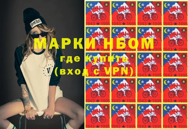 сатива Балахна