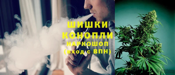 сатива Балахна