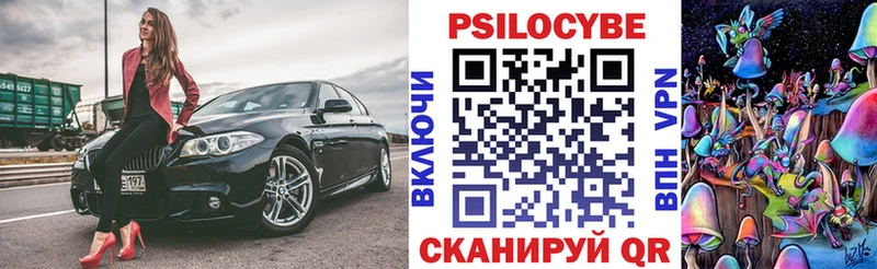Псилоцибиновые грибы мухоморы  блэк спрут зеркало  Юрьев-Польский  где продают наркотики 